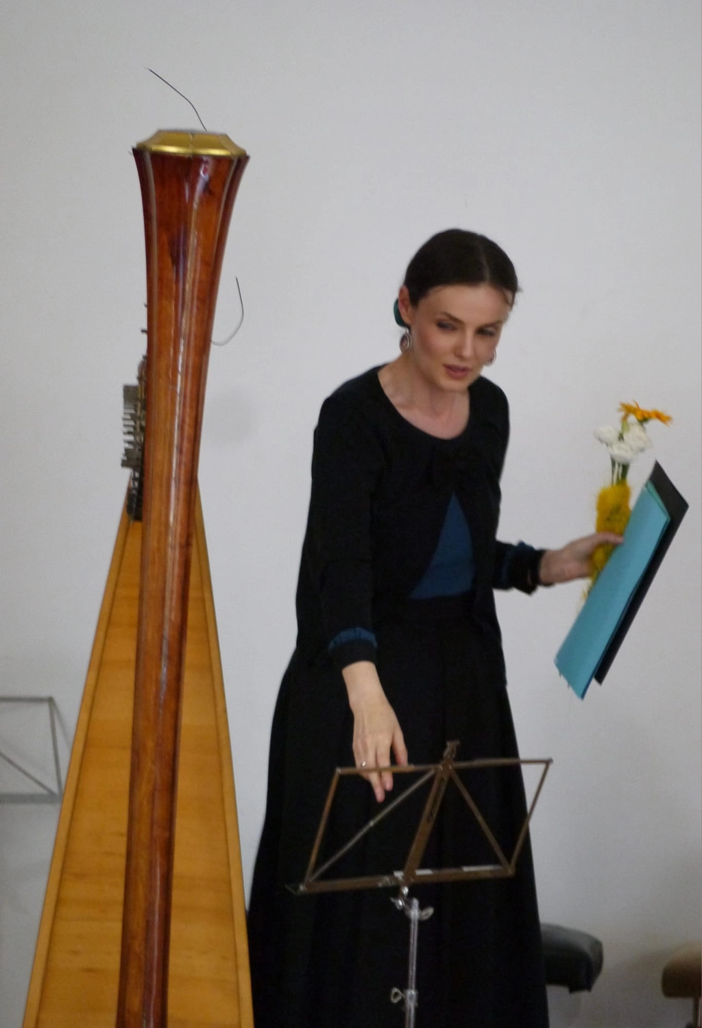 Tatjana Gribbe - Harfenistin mit Herz